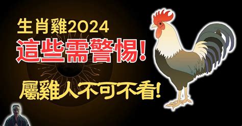 屬雞1981|【1981 雞】1981 雞年運勢大揭密：五行、大運及 2024 年運程！